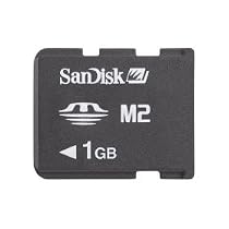 SanDisk - Flash memory card ( M2 to Memory Stick Duo adapter included ) - 1 GB - Memory Stick Micro (M2)