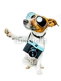Wallmonkeys Peel and Stick Wall Decals - Dog Photo Camera - Removable Graphic