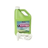 Thetford UltraFoam Black Streak Remover, Gallon by THETFORD CORPORATION