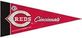 Cincinnati Reds MLB Mini Pennants - 8 Piece Set