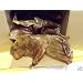 HDP Humongous Rosted Pig Ears 25 pack Made In U.S. Sealed