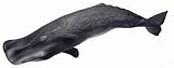 Sperm Whale