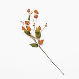 Chinese Lantern Branches - Floral & Picks & Stems