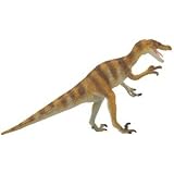 Safari: Velociraptor