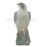 LIFE LIKE FALCON GARDEN BIRD SCARER DECOY DETERRENT