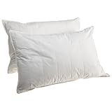 Smartsilk Set of 2 Pillows