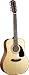 Fender CD-100-12 NAT Acoustic Guitar