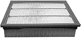 Hastings Filters AF1094 Air Filter