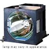 Panasonic Replacement Projector Lamp (ET-LAF100)
