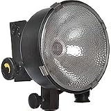 Lowel DP Quartz Light with 1000 watt, 120 volt FEL Lamp