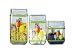 Grant Howard Associates 39270-8 Cottonball Series Square Glass Canister Set with Gift Box 3-pc.