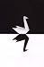 The Black Swan: The Impact of the Highly Improbable