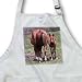 Beverly Turner Photography - The End and the Beginning, Horse with Baby - Aprons