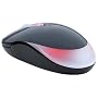 Samsung Pleomax SPM-3800B Rainbow Optical Mouse (Black)