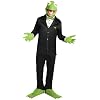 Rubies 3 5441  - Kermit Set