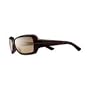Nike Precocious Sunglasses - Tortoise Frame w/ Brown Lens - EV0351-202