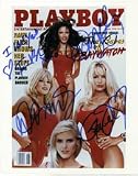Signed Baywatch 8x10 By Traci Bingham, Pamela Anderson, Gena Lee Nolin and Donna D'Errico Photo