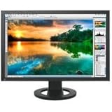 22IN LCD 1650X1050 950:1 Coloredge CG223W-BK Dvi Blk