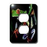 Frogs - Frog - Light Switch Covers - 2 plug outlet cover