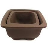 Happy Bonsai Square Zisha Pot set of 2