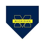 Michigan Wolverines NCAA Team Fleece Blanket/Throw (60x50)