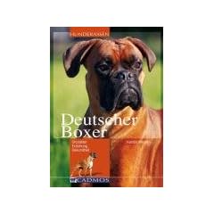 Deutscher Boxer: Charakter - Erziehung - Gesundheit