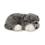Perfect Petzzz Schnauzer
