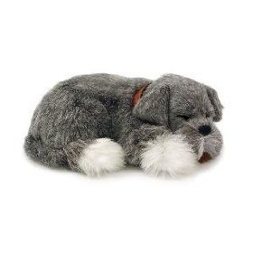 Perfect Petzzz Schnauzer