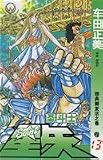 Saint Seiya 13 (paperback)