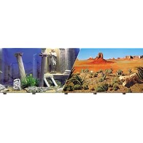 Double Sided Atlantis Aquarium Background, 19