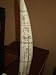 Ship Regulus Captain James Hood Scrimshaw Walrus Tusk Replica