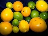 citrus burst sugar