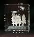 Waterfowl Safe Return Laser Crystal