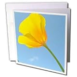 Patricia Sanders Flowers - law of attraction - Greeting Cards-12 Greeting Cards with envelopes