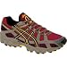 ASICS Men's Gel-Trail Attack IV WR