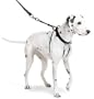The Sporn Pull Stop Halter Leash BLACK - LARGE