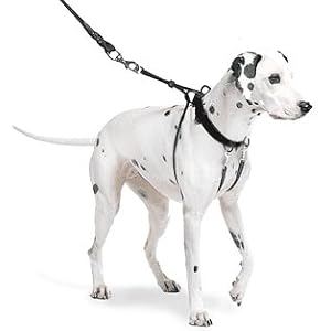 Sporn Pull Stop Harness