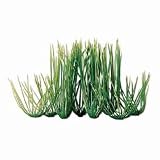 Hairgrass Aquarium Plant, 6" Green