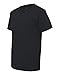 Fruit of the Loom Adult 5 oz. HD Cotton™ V-Neck T-Shirt L BLACK