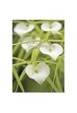 Blooming Hearts Wedding Greeting Card 5x7