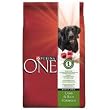 Purina ONE Adult Dog Lamb and Rice Formula (18-lb bag)