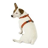 31mqIvdXPxL. SL160  Cozy Hemp Adjustable Dog Harness Size: Large (24   40), Color: Apple Green Reviews