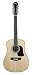 Aria AW-35T 12 String Acoustic Guitar - Natural