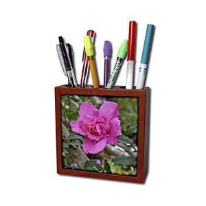 WhiteOak Photography Floral Prints Pink Rose of Sharon-2012 Tile Pen Holders-5 inch tile pen holder