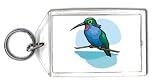 Keychain with wild, heliomaster, humming bird, life, furcifer, hummingbird, fauna, birds, bird, angel 31mrGqcpMML. SL160 Keychain with wild, heliomaster, humming bird, life, furcifer, hummingbird, fauna, birds, bird, angel
