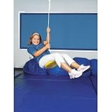 Spring Swings - Disc Seat Swing