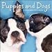 Puppies and Dogs 2009 Calendar