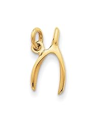 14k Yellow Gold Wishbone Charm