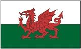 Wales Flag 3 x 5 Brand NEW 3x5 Welsh Dragon Flag