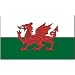 Wales Flag 3 x 5 Brand NEW 3x5 Welsh Dragon Flag